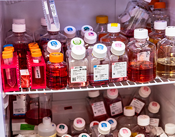 A closeup image of jars of liquid in a refrigerator.